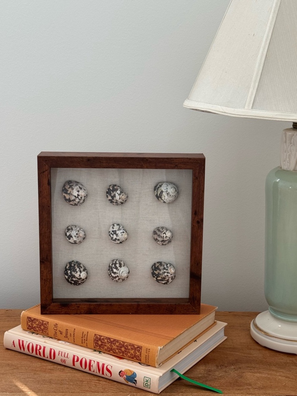 Decorative Wooden Frame with Shell Collection - Neutral Tones